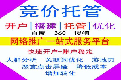 SEM广告投放策略：成功案例解析